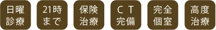 日曜診療・21時まで・保険治療・CT完備・高度治療